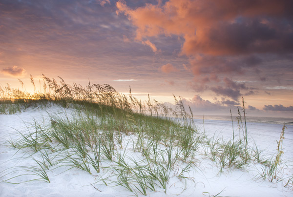 Pensacola Beach Sunrise - Landscape and National Park Photography by Daniel Ewert